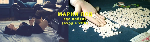 соль ск Новозыбков