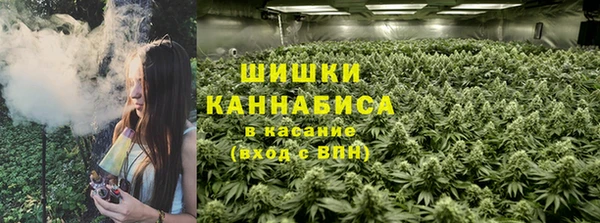 Альфа ПВП Аша