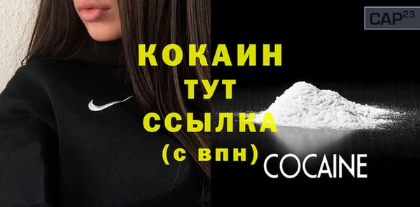 соль ск Новозыбков