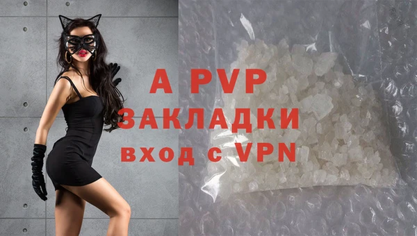 соль ск Новозыбков